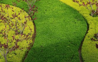 【工程管理】園林綠化養(yǎng)護(hù)中容易被忽視的幾個(gè)點(diǎn)