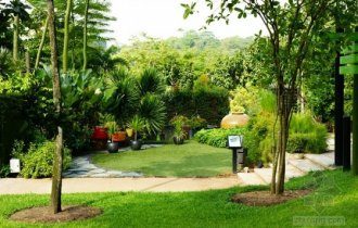 中國(guó)園藝用品行業(yè)市場(chǎng)現(xiàn)狀及發(fā)展趨勢(shì)分析 家庭園藝將成為一種剛性需求