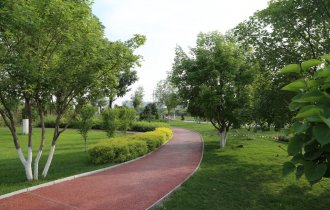 時(shí)令植保丨夏季園林苗木養(yǎng)護(hù)的7個(gè)技術(shù)要點(diǎn)